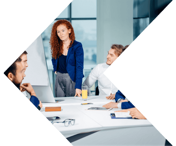 Professional Services / Consulting Firms