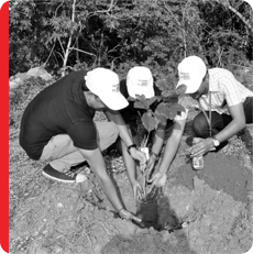Green Initiatives