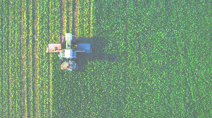 Vertically Integrated Agri Business