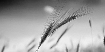 Industry agri manufacturers