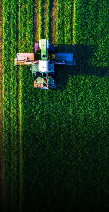 Vertically Integrated Agri Business