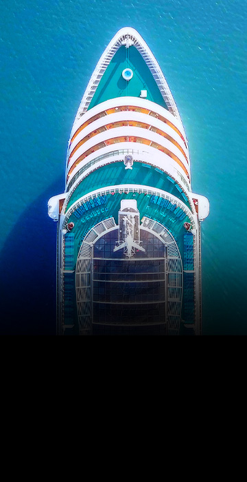 Cruise Industry Segment Solution