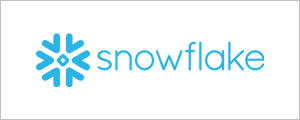 Snowflake Partnership for BFSI