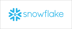 Snowflake Partnership for HLS