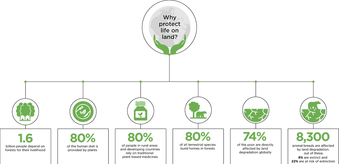 why protect life on land