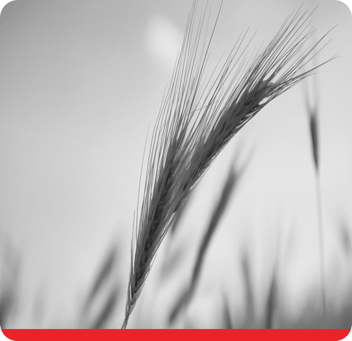 European agricultural trader and manufacturer simplifies contract management