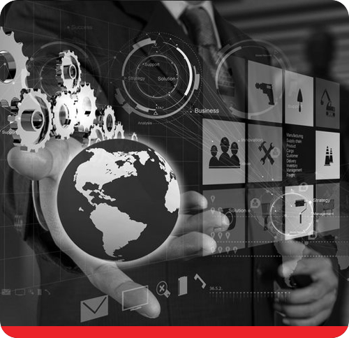 Digitized Distribution Operations in a Complex Supply Chain