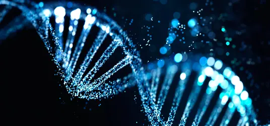 Integrated and holistic evidence generation 2.0