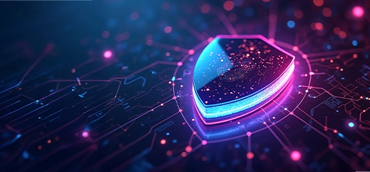 Bridging digital divides banner